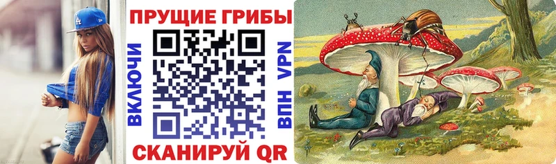 купить наркоту  Дятьково  Галлюциногенные грибы Psilocybe 