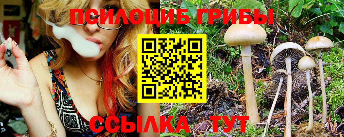 Псилоцибиновые грибы MAGIC MUSHROOMS  Вход с VPN  Дятьково  закладки  Псилоцибиновые грибы ЛСД 